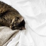 Consejos para dejar de procrastinar